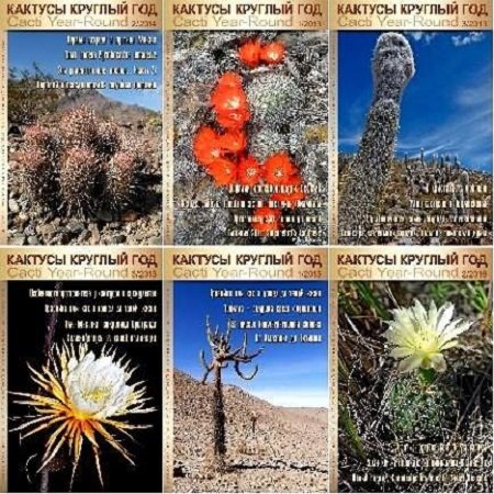Обложка к Подшивка журналов Кактусы круглый год (2013-2016)