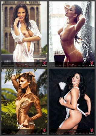 Обложка к Playboy - Official Calendar на 2021 год