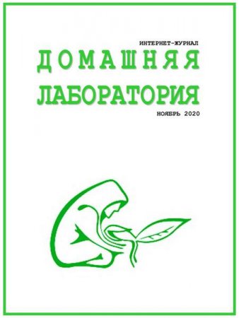 Обложка к Домашняя лаборатория №11 (ноябрь 2020)