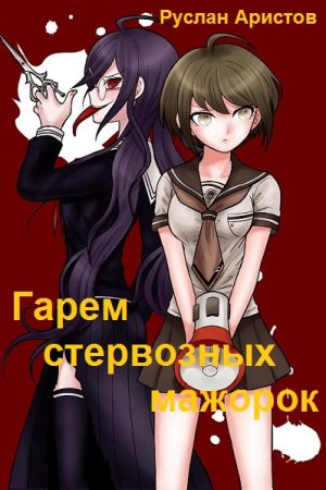 Обложка к Руслан Аристов. Цикл (8 книг) - Гарем стервозных мажорок