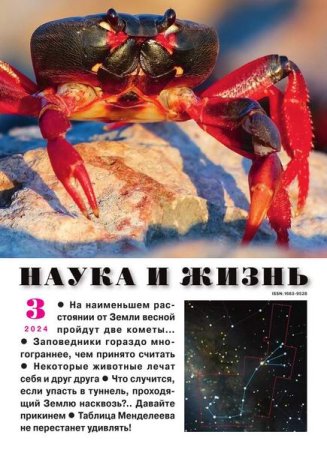 Обложка к Наука и жизнь №3 (март 2024)