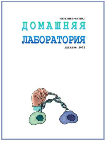 Обложка к Домашняя лаборатория №12 (декабрь 2025)